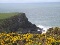 Beim Giants Causeway &ndash; &copy; Peter Rudolph (Eberhardt TRAVEL)