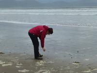 Inch Beach