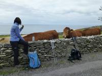 Dingle - Slea Head &ndash; &copy; Ralf Kuchenbecker (Eberhardt TRAVEL)