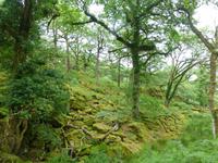 Old Kenmare Road &ndash; &copy; Ralf Kuchenbecker (Eberhardt TRAVEL)