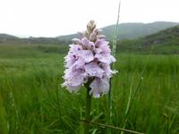 Old Kenmare Road &ndash; &copy; Ralf Kuchenbecker (Eberhardt TRAVEL)
