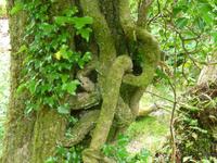 Old Kenmare Road &ndash; &copy; Ralf Kuchenbecker (Eberhardt TRAVEL)