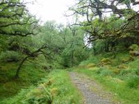 Old Kenmare Road &ndash; &copy; Ralf Kuchenbecker (Eberhardt TRAVEL)