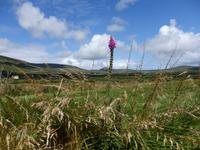 P7290128 &ndash; &copy; Horst Hallfarth (Eberhardt TRAVEL)