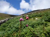P7290171 &ndash; &copy; Horst Hallfarth (Eberhardt TRAVEL)