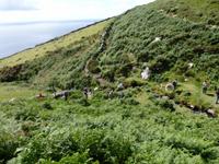 P7290175 &ndash; &copy; Horst Hallfarth (Eberhardt TRAVEL)