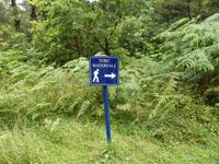 hier gehts zum Torc Wasserfall &ndash; &copy; Horst Hallfarth (Eberhardt TRAVEL)