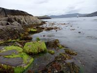 am Strand &ndash; &copy; Horst Hallfarth (Eberhardt TRAVEL)