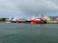 Castletownberehaven &ndash; &copy; Ralf Kuchenbecker (Eberhardt TRAVEL)