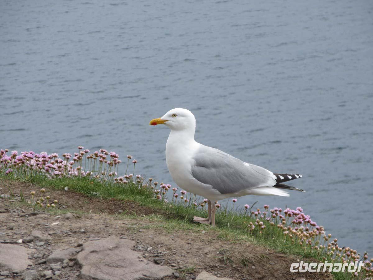 An Slea Head &ndash; &copy; Peter Rudolph (Eberhardt TRAVEL)