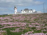 Lighthouse Loop Head &ndash; &copy; Peter Rudolph (Eberhardt TRAVEL)