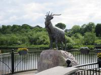 King Puck &ndash; &copy; Peter Rudolph (Eberhardt TRAVEL)