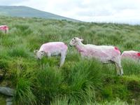 Old Kenmare Road &ndash; &copy; Ralf Kuchenbecker (Eberhardt TRAVEL)