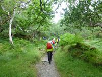 Old Kenmare Road &ndash; &copy; Ralf Kuchenbecker (Eberhardt TRAVEL)