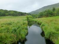 Old Kenmare Road &ndash; &copy; Ralf Kuchenbecker (Eberhardt TRAVEL)