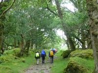 Old Kenmare Road &ndash; &copy; Ralf Kuchenbecker (Eberhardt TRAVEL)