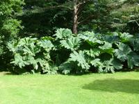 Muckross Park &ndash; &copy; Ralf Kuchenbecker (Eberhardt TRAVEL)