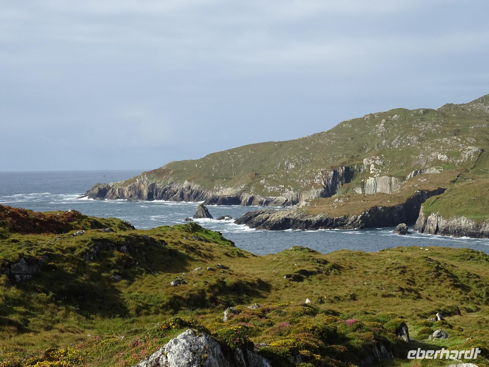 Tag 6 Bere Island 1 &ndash; &copy; Petra Härtl (Eberhardt TRAVEL)
