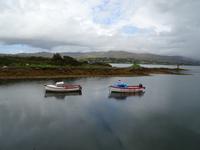 Tag 6 Bere Island 3 &ndash; &copy; Petra Härtl (Eberhardt TRAVEL)