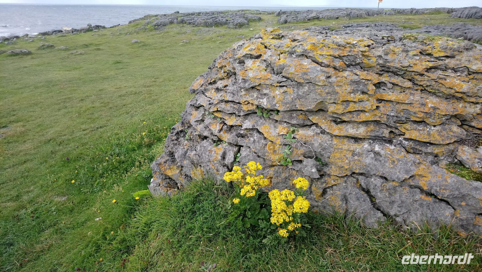 Burren, Irland &ndash; &copy; Katrin Kerpa (Eberhardt TRAVEL)
