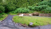 Waterfall, Irland &ndash; &copy; Katrin Kerpa (Eberhardt TRAVEL)