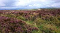 Irland &ndash; &copy; Katrin Kerpa (Eberhardt TRAVEL)