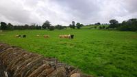 county donegal &ndash; &copy; Katrin Kerpa (Eberhardt TRAVEL)