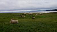 Downpatrick Head &ndash; &copy; Katrin Kerpa (Eberhardt TRAVEL)