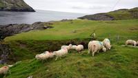 Irland &ndash; &copy; Katrin Kerpa (Eberhardt TRAVEL)