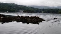 Irland &ndash; &copy; Katrin Kerpa (Eberhardt TRAVEL)
