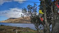 DSC_0049 Leenana &ndash; &copy; Katrin Kerpa (Eberhardt TRAVEL)