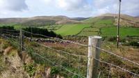 DSC_0098dingle &ndash; &copy; Katrin Kerpa (Eberhardt TRAVEL)