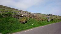 DSC_0131dingle &ndash; &copy; Katrin Kerpa (Eberhardt TRAVEL)