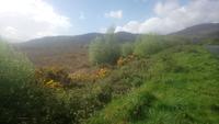 DSC_0183Ring of Kerry &ndash; &copy; Katrin Kerpa (Eberhardt TRAVEL)