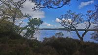 DSC_0180wanderung Muckross &ndash; &copy; Katrin Kerpa (Eberhardt TRAVEL)
