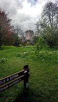 DSC_0266Blarney castle (2) &ndash; &copy; Katrin Kerpa (Eberhardt TRAVEL)