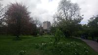 DSC_0268Blarney catsle &ndash; &copy; Katrin Kerpa (Eberhardt TRAVEL)