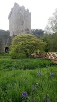 DSC_0295Blarney castle &ndash; &copy; Katrin Kerpa (Eberhardt TRAVEL)