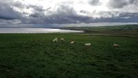 downpatrickhead (14) &ndash; &copy; Katrin Kerpa (Eberhardt TRAVEL)