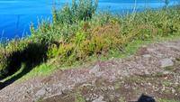 Dingle (27) &ndash; &copy; Katrin Kerpa (Eberhardt TRAVEL)