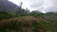 connemara (15) &ndash; &copy; Katrin Kerpa (Eberhardt TRAVEL)