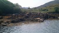 Garinish Island (17) &ndash; &copy; Katrin Kerpa (Eberhardt TRAVEL)