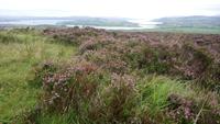 griannanofaileach (4) &ndash; &copy; Katrin Kerpa (Eberhardt TRAVEL)