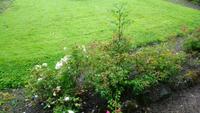 sneem (5) &ndash; &copy; Katrin Kerpa (Eberhardt TRAVEL)