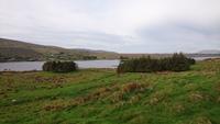 Herrliche Blicke in Connemara