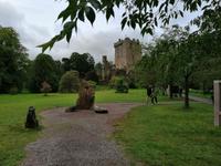 Dublin (44) &ndash; &copy; Katrin Kerpa (Eberhardt TRAVEL)