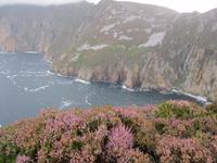 Slieve League &ndash; &copy; Constanze Hölig (Eberhardt TRAVEL)