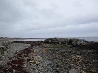 Connemara