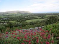 Burren &ndash; &copy; Constanze Hölig (Eberhardt TRAVEL)