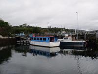 Glengarriff &ndash; &copy; Constanze Hölig (Eberhardt TRAVEL)